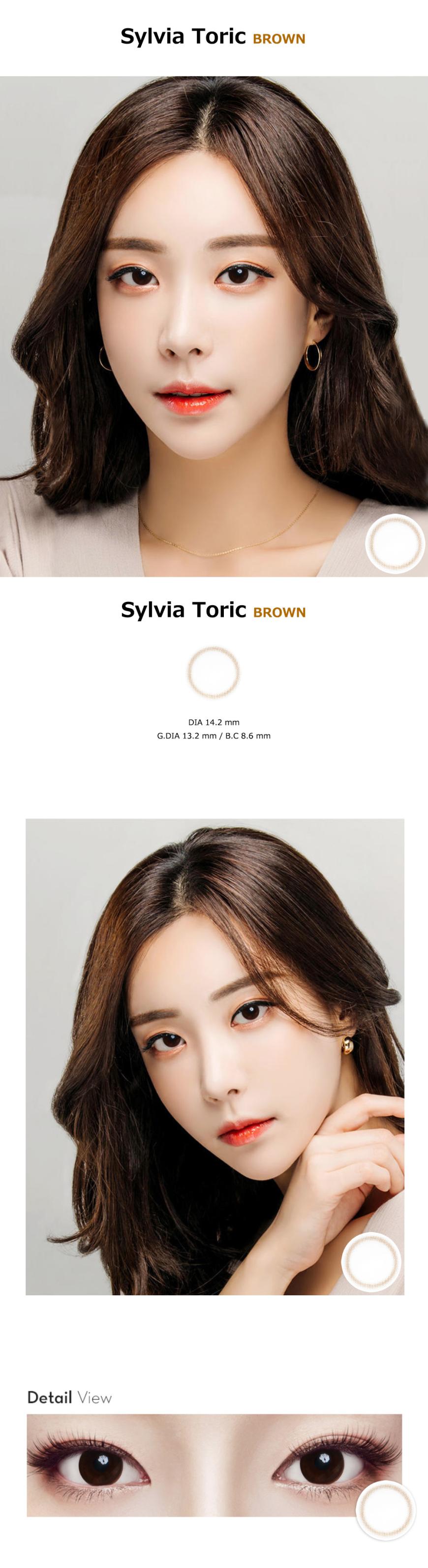 [乱視用/ブラウン/BROWN] シルビア - Sylvia Toric [14.2mm]