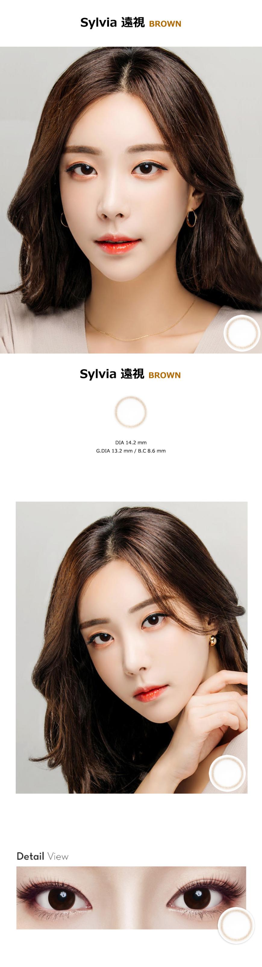 [遠視用/ブラウン/BROWN] シルビア - Sylvia 遠視 [14.2mm]